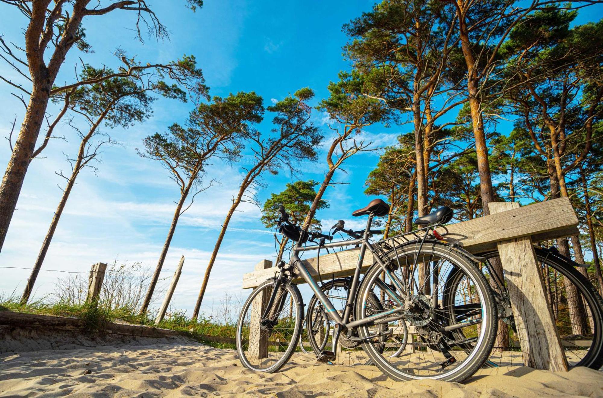 Meeresbrise Im Ostseeheilbad Zingst Esterno foto
